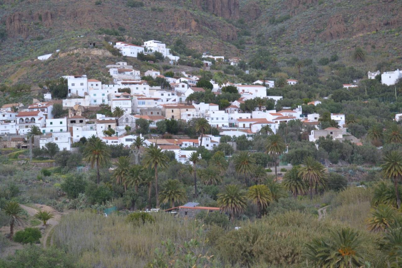 Las Palmeras Temisas Exterior photo